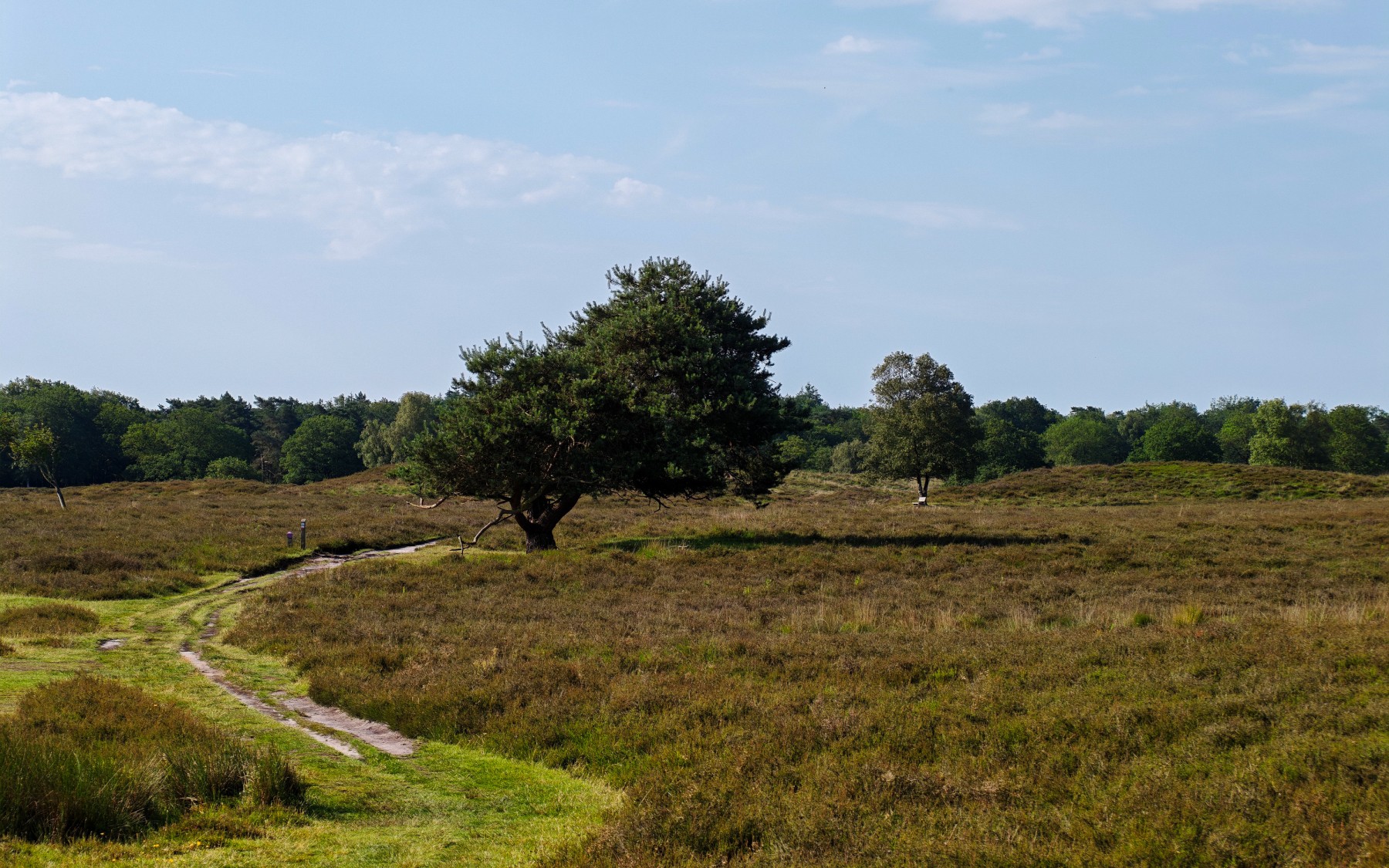Zuidlaren - Rolde