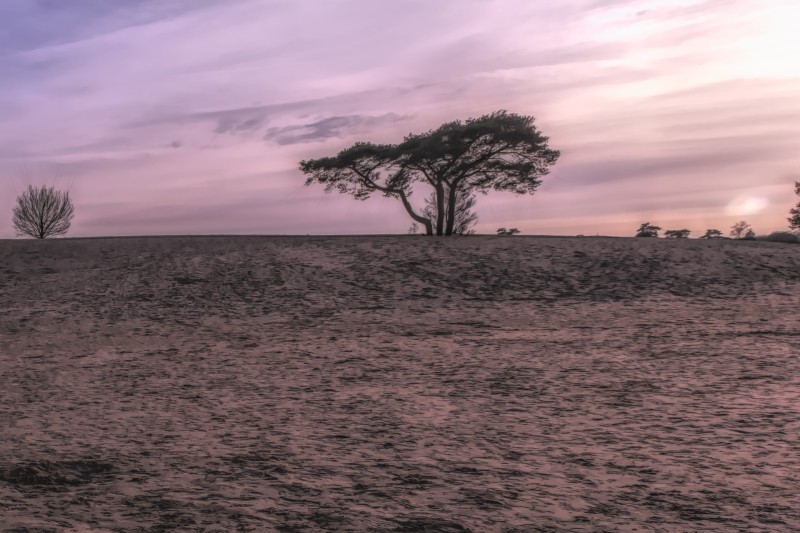 Soestduinen: schets voor serie